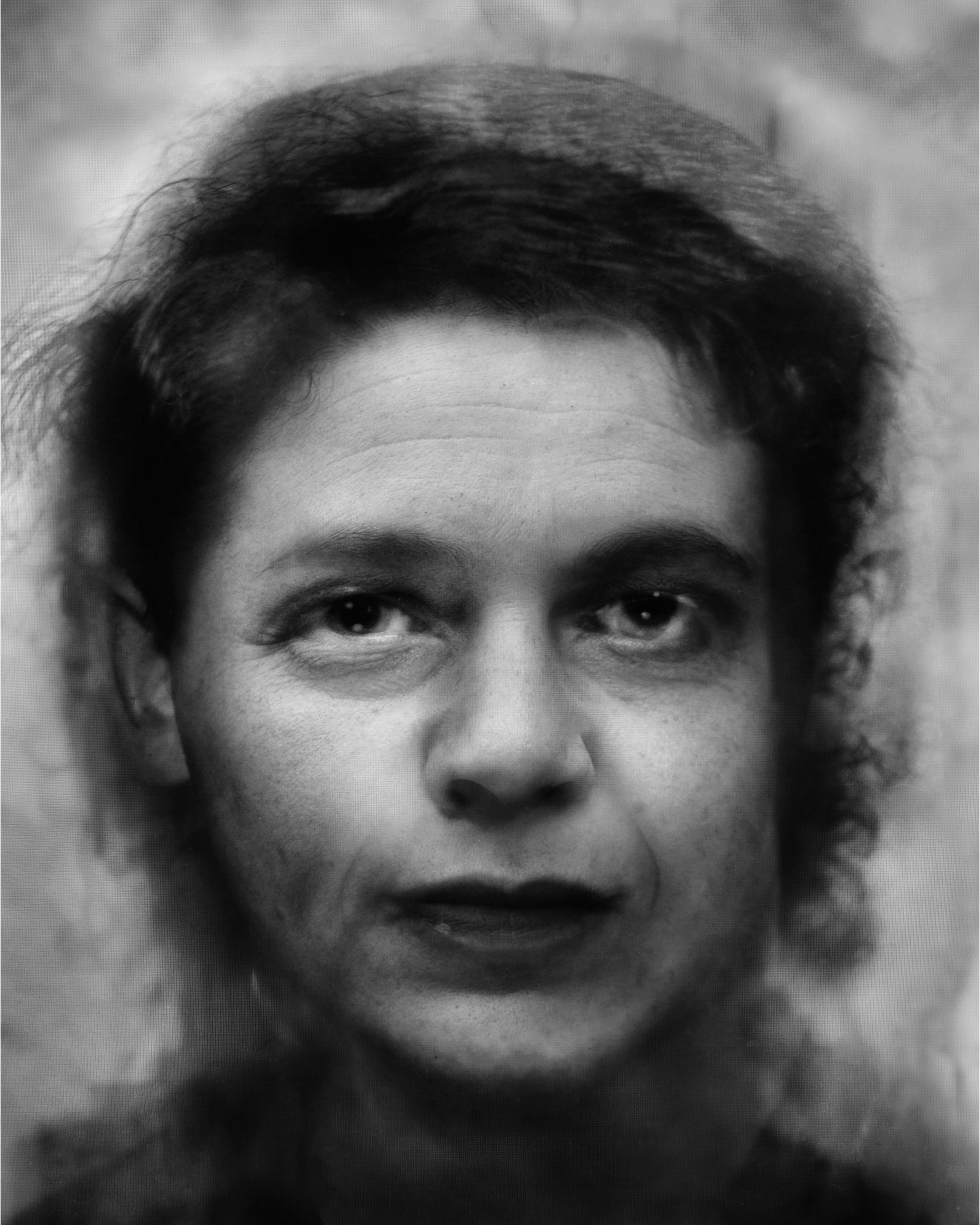 uit de reeks: constructed family 2016